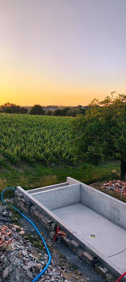 Location de vacances pour 15 personnes, avec piscine ainsi que jardin et vue, animaux acceptés à Saint-Aubin-de-Luigné - 3