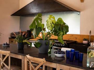 Maison De Vacances pour 16 Personnes dans Noves, Région d'Arles, Photo 4