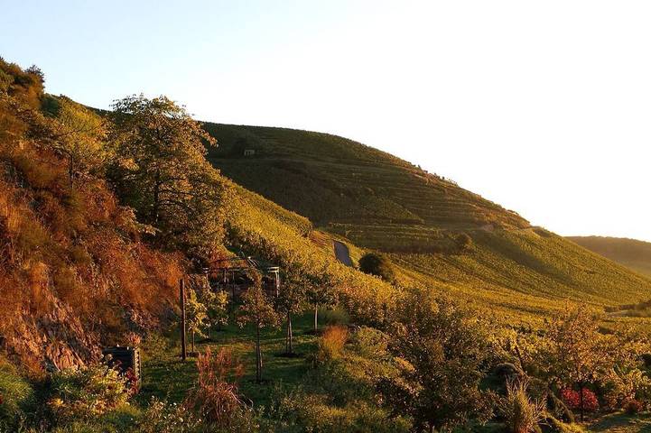 Appartement de vacances pour 2 personnes, avec jardin et terrasse - 1