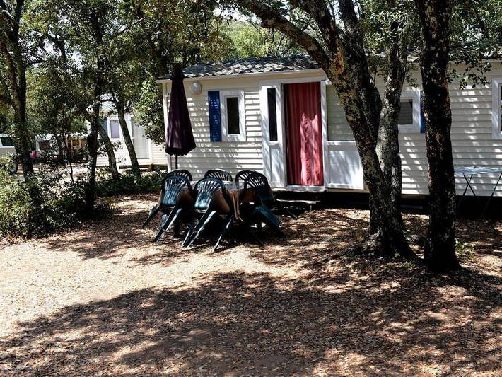 Camping Les chênes - Mobilheim 4 personen - Komfort Klimatisiert - 2 Zi - 3 x 8m / Palme und Olivenbaum in Junas, Mittelmeerküste (Frankreich)