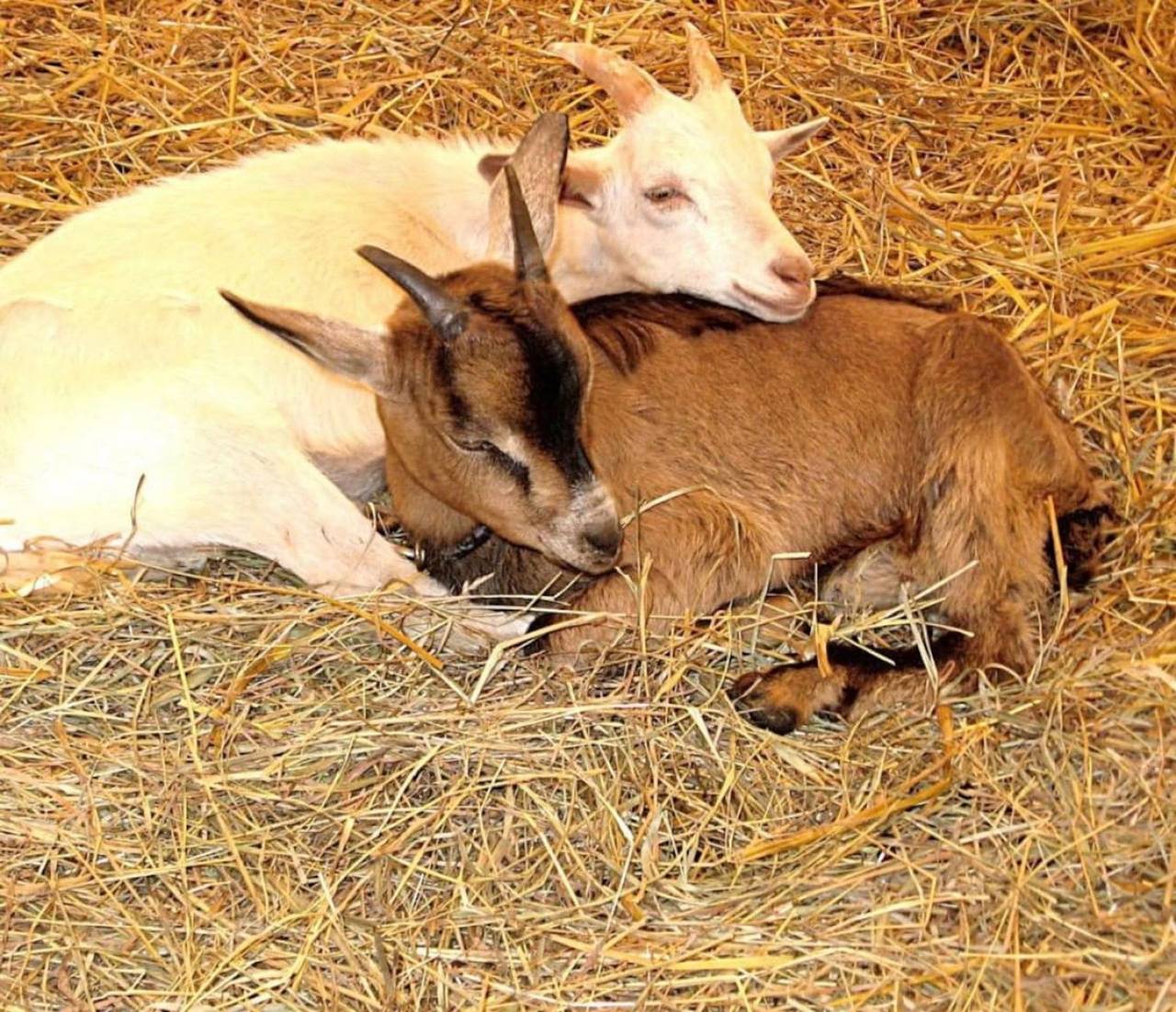 Apartamento entero, Calm Boutique Farm Studio beside the Lakefront in Condado de Orange (NY)