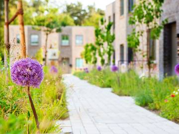 Ferienhaus für 3 Personen in St. Peter-Ording, Nordfriesland, Bild 4