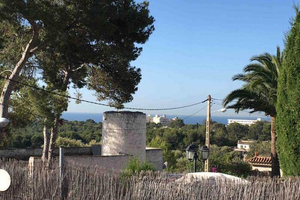 Lemon House in Genova, Palma