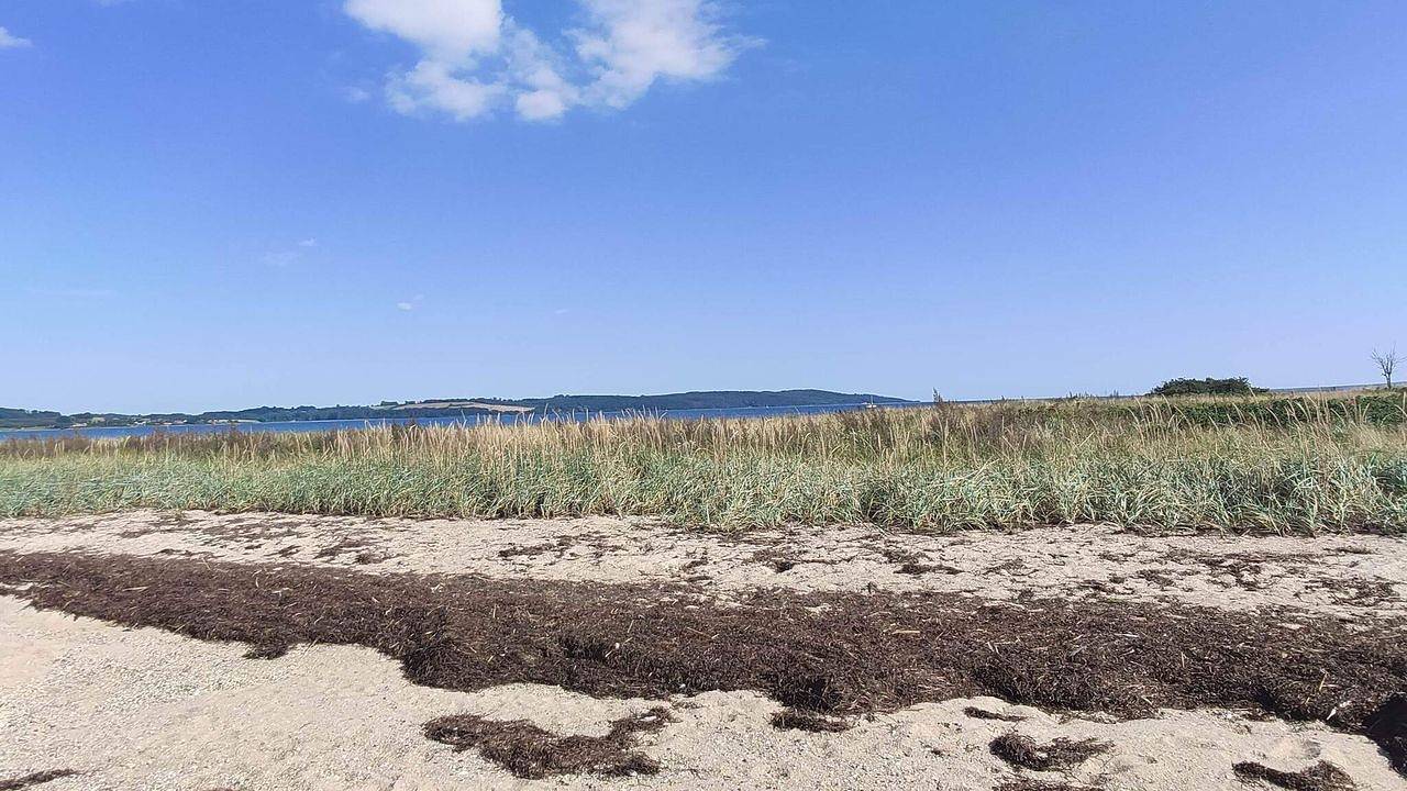 Ferienhaus für 6 Personen (73 m²) in Børkop in Andkær, Børkop