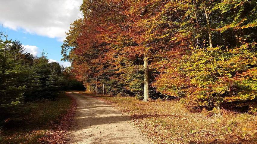 Ferienhaus für 9 Personen, mit Garten auf Seeland - 3