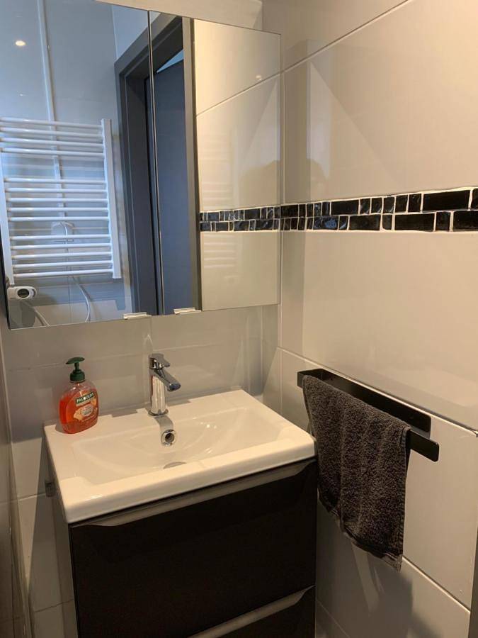 Appartement entier, Apartement cosy et lumineux proche du lac in Creutzwald, Boulay-Moselle