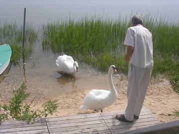 Cottage for 10 Guests in Southold, North Fork, Picture 1