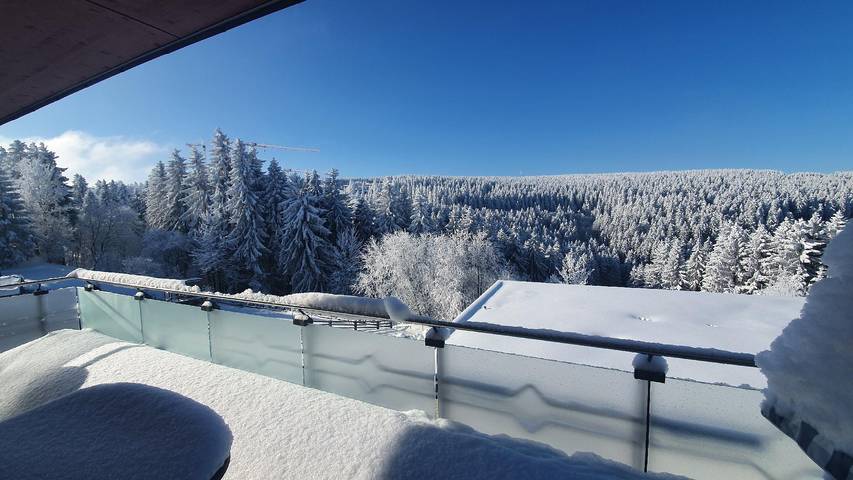 Ferienwohnung für 5 Personen, mit Balkon, kinderfreundlich im Thüringer Wald - 3