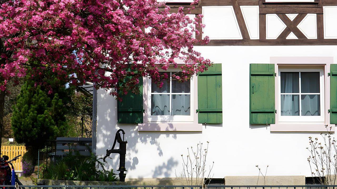 Ganze Ferienwohnung, Ferienwohnung für 3 Personen (65 m²) in Reichenbach in Lahr, Mittlerer Schwarzwald