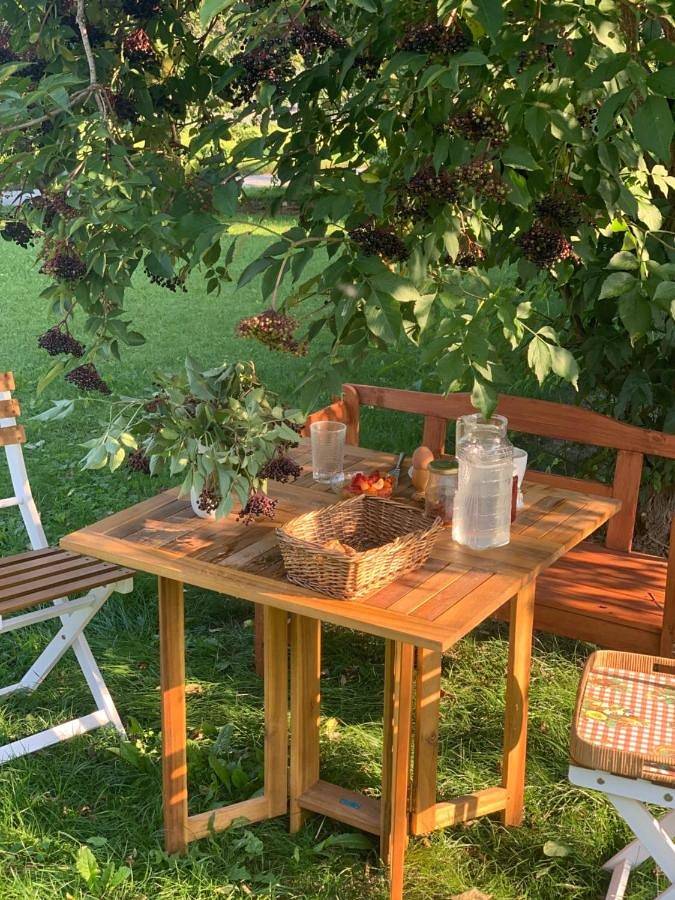 Ferienhaus für 8 Personen, mit Garten und Ausblick, mit Haustier in Ausseerland - 3