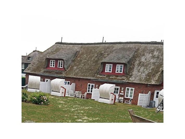 Ferienhaus für 4 Personen, mit Terrasse, mit Haustier - 1