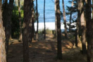 Gîte pour 4 personnes, avec balcon et jardin à Cala Liberotto