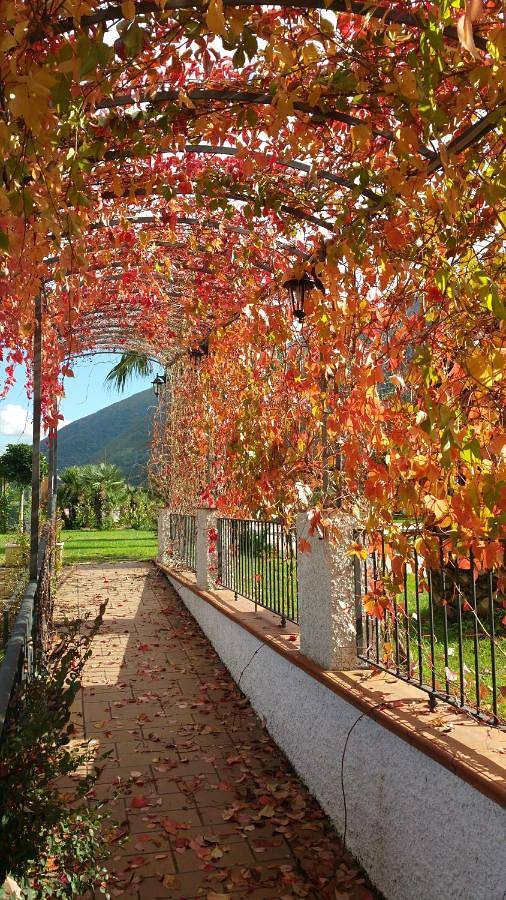 Villa Nasti Luxury Bed Taurasi Room in Nocera Inferiore, Costa tirrenica Campania