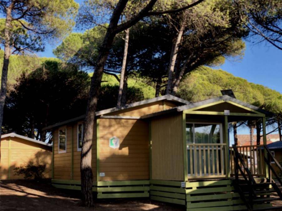 Camping La Tamarissière - Chalet 4 persons - Chalet Classik in La Tamarissière, Agde