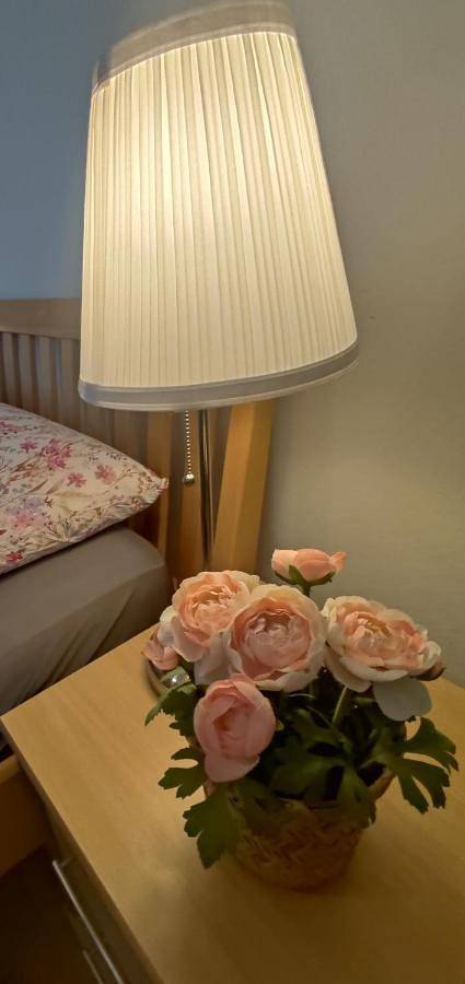 Ferienwohnung für 3 Personen, mit Balkon und Terrasse sowie Ausblick in Freilassing - 3