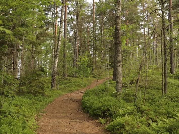 Bauernhof für 5 Personen, mit Terrasse in Schweden - 4