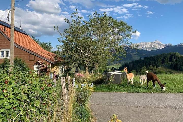Ferienwohnung für 6 Personen, mit Garten