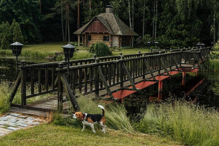 Holiday rental for 3 people, with Hot tub and Terrace as well as Garden and Pool in Latvia