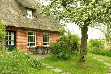 Ferienhaus für 6 Personen in Osterhever