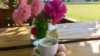 Ferienhaus für 4 Personen, mit Garten und Ausblick, kinderfreundlich in Biendorf