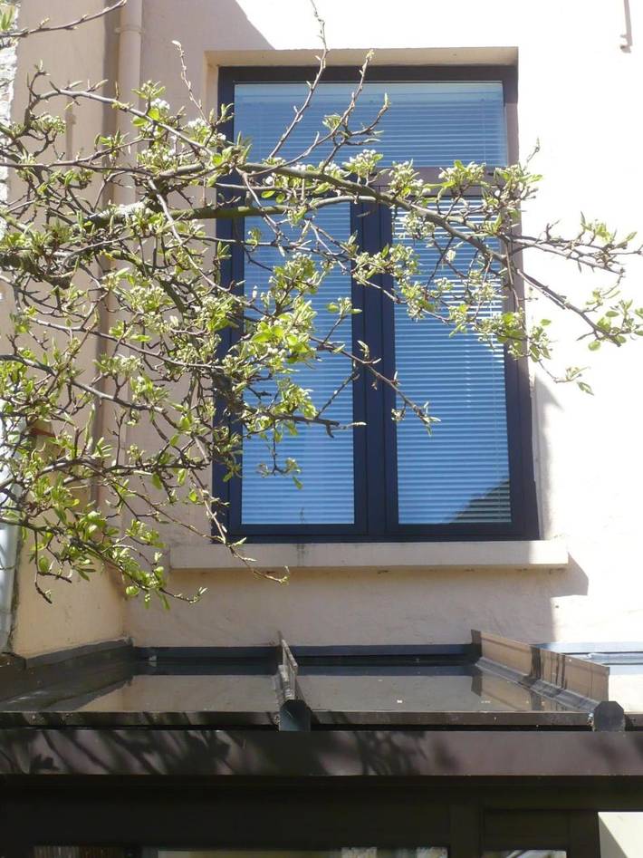 Chambre d’hôte pour 2 personnes, avec jardin et terrasse à Bergues - 4