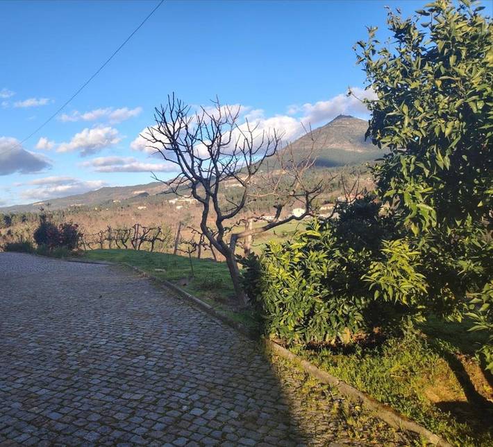 Gîte pour 2 personnes, avec terrasse et vue, animaux acceptés à Mondim de Basto - 4