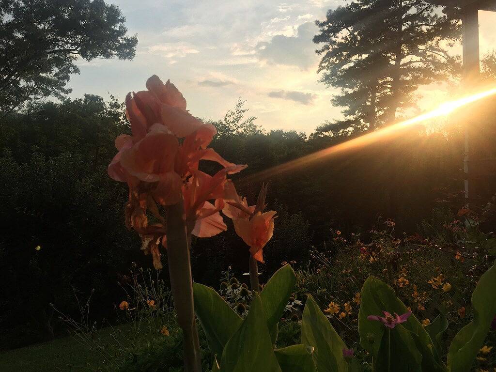 Ganze Wohnung, High Top Hide-Away ~ Ihr Rückzug in die Privatsphäre in Blue Ridge Parkway, Buncombe County