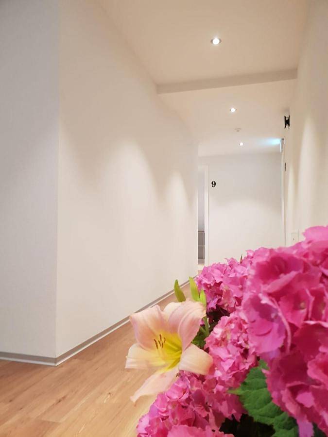 Hôtel pour 2 personnes, avec jardin et terrasse à Morat - 4