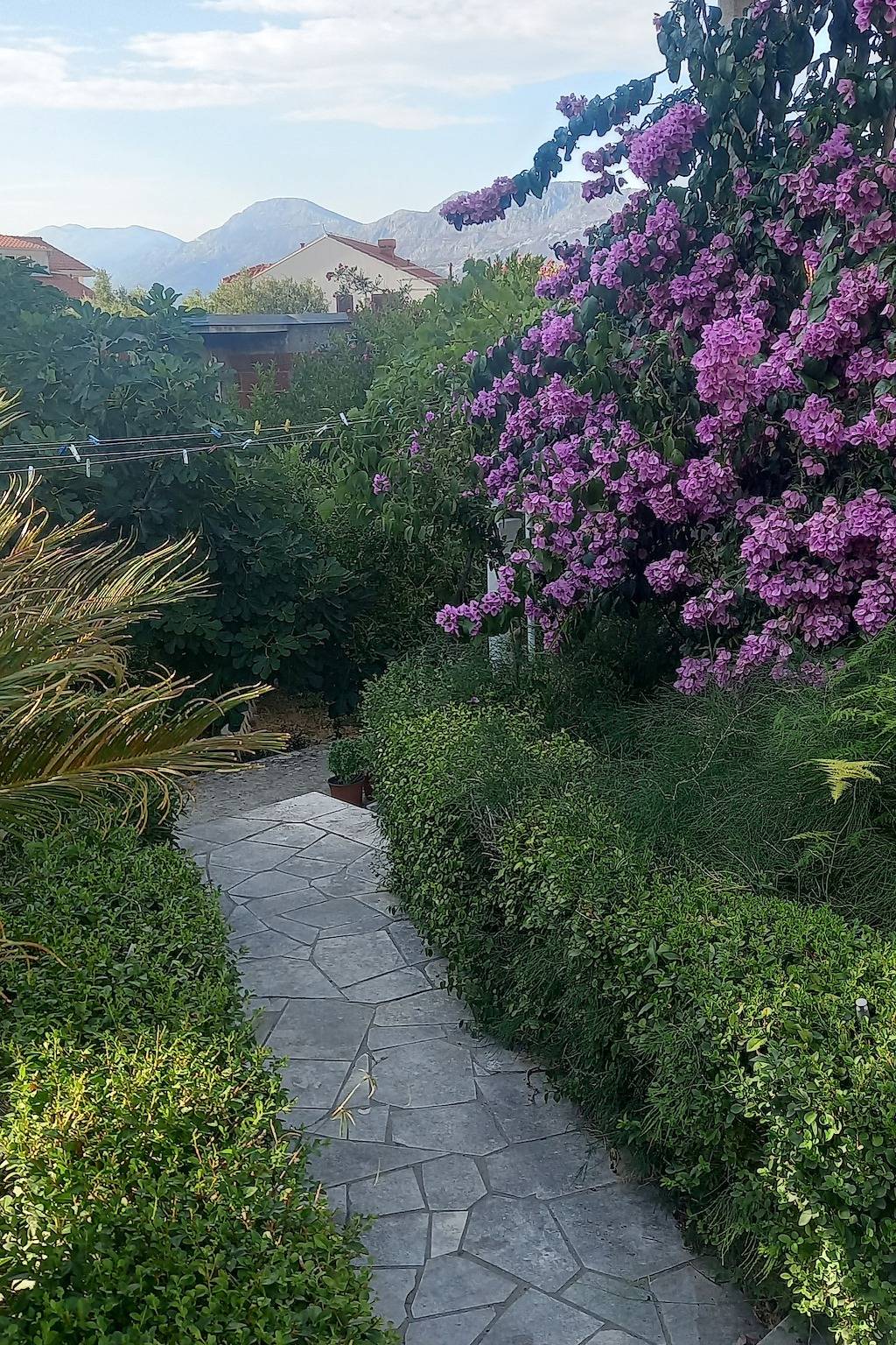 Entire apartment, One bedroom apartment with terrace and sea view Cavtat (Dubrovnik) A-2132-a in Cavtat, Dubrovnik-Neretva