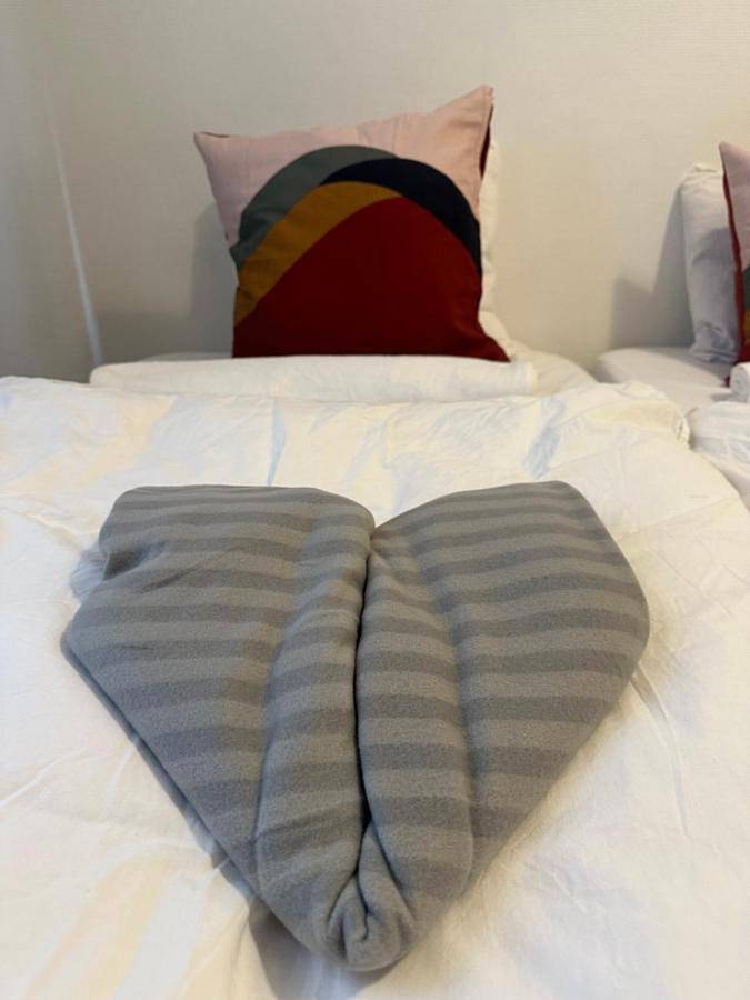 Superior Twin Room in St. Hanshaugen, Oslo
