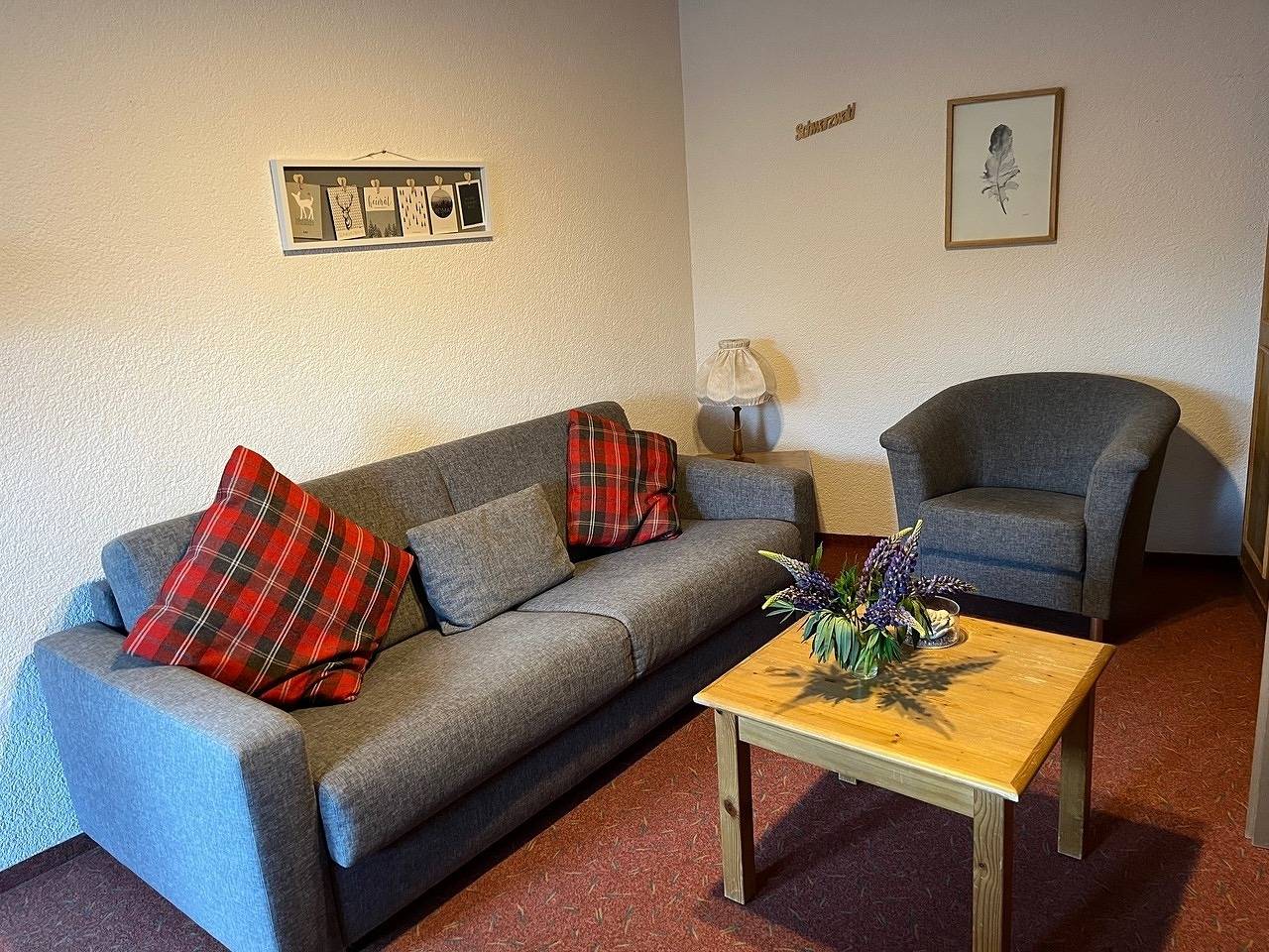 Ganze Ferienwohnung, Apartment 19 - Ferienresidenz Roseneck, mit Schwimmbad in Todtnauberg bei Feldberg in Todtnauberg (Todtnau), Todtnau