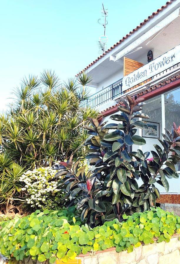 Casa de huéspuedes para 4 personas, con Terraza y Jardín además de Piscina y Vistas en Gandía