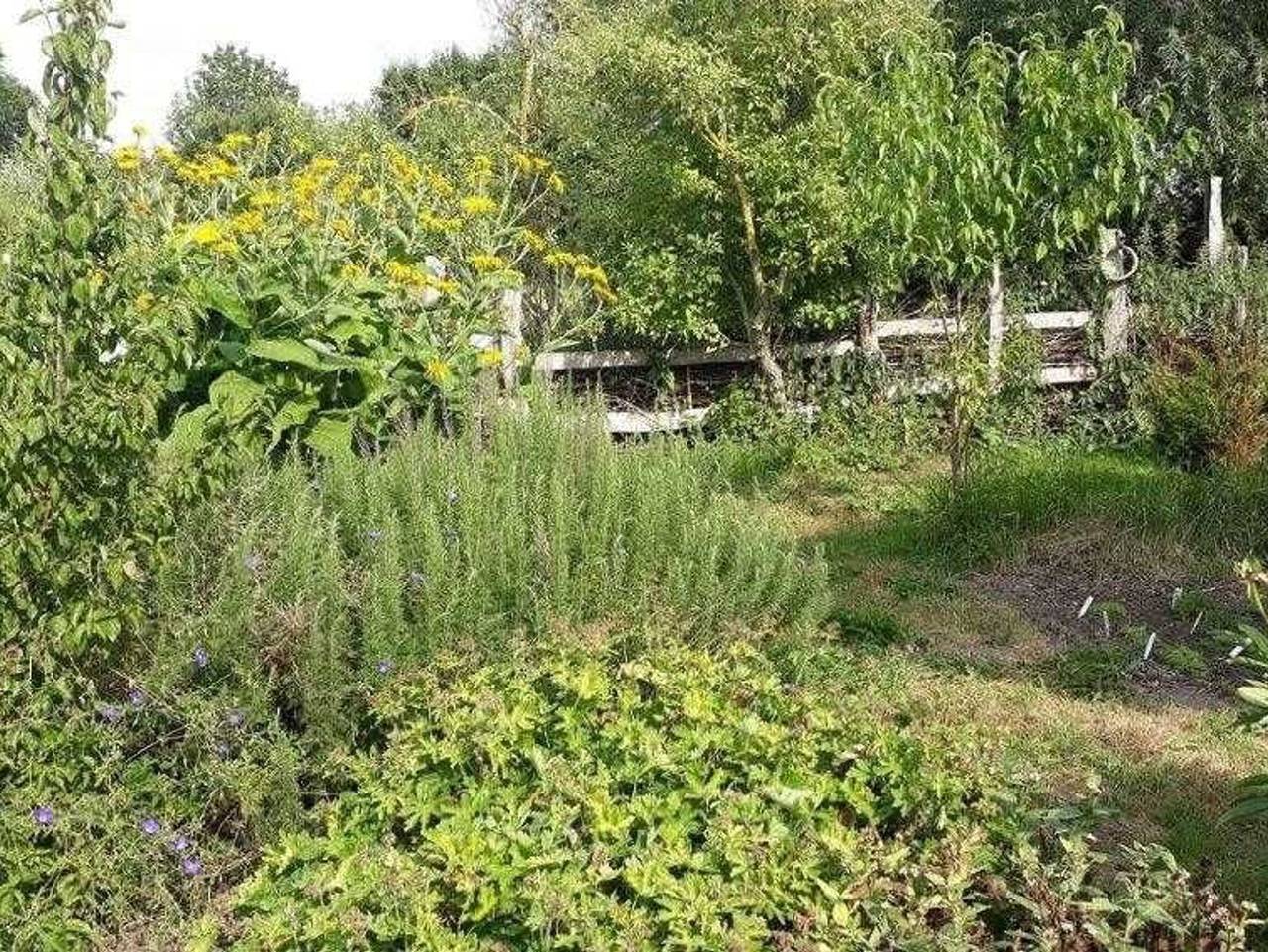 Ganze Ferienwohnung, Ferienwohnung Wolkwitz Süd - Ferienwohnung Wolkwitzsüd in Borrentin, Kummerower See