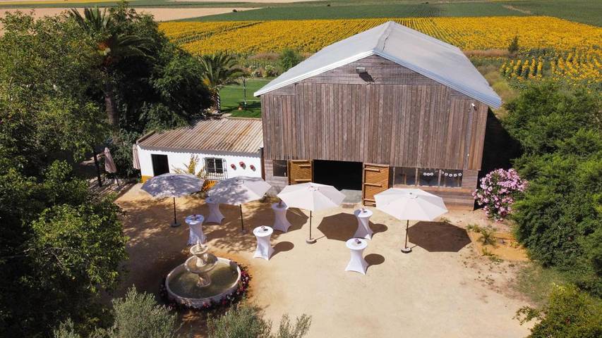 Casa rural para 15 personas, con vistas además de piscina y jardín en Alcalá de Guadaíra - 3