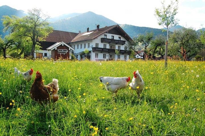 Bauernhaus für 3 Personen, mit Garten, kinderfreundlich - 1