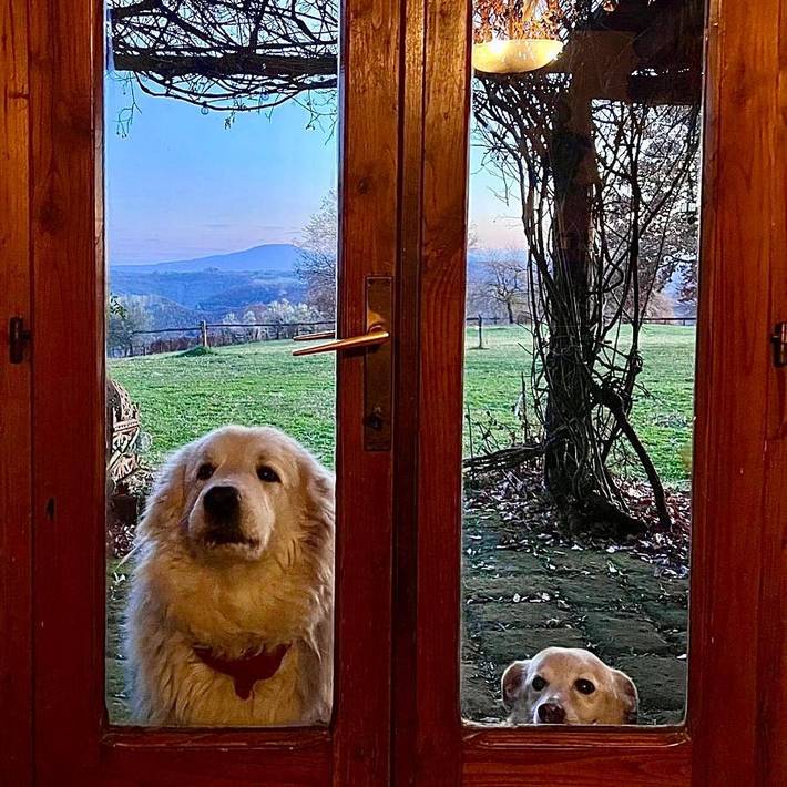 Ferienwohnung für 3 Personen, mit Garten und Pool sowie Ausblick