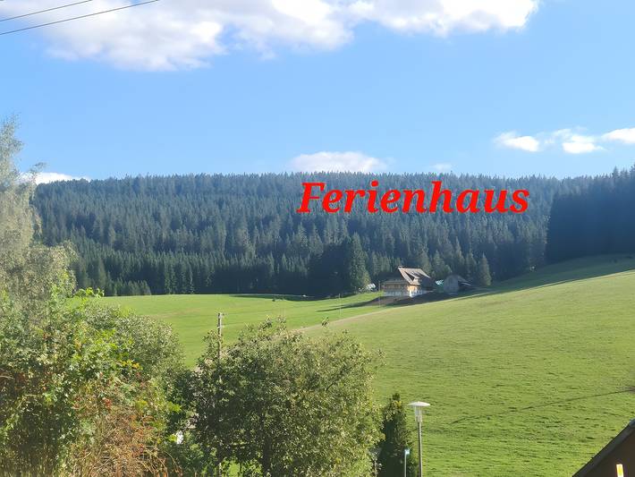 Ferienwohnung für 6 Personen, mit Garten in Eisenbach - 3