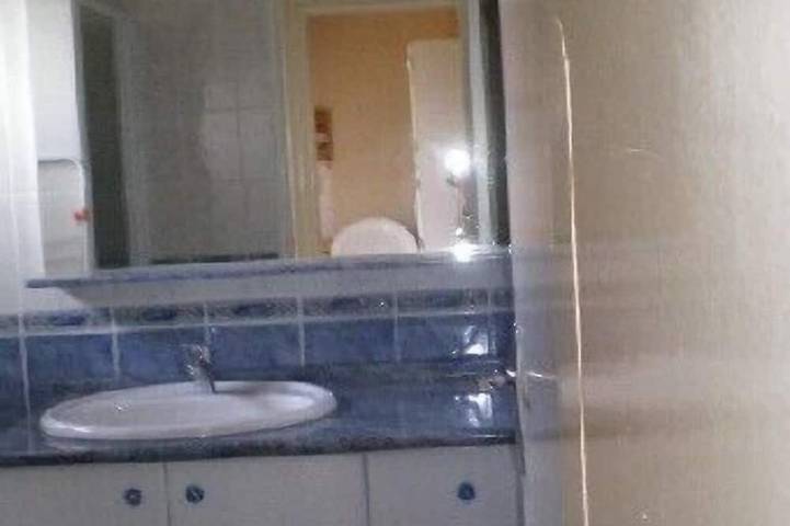 Location de vacances pour 4 personnes, avec terrasse et jardin dans Lac d'Aureilhan - 4