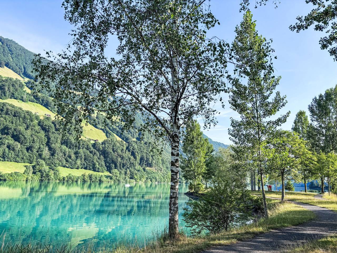 Ganze Wohnung, Ferienwohnung Enzian in Lungern, Obwalden
