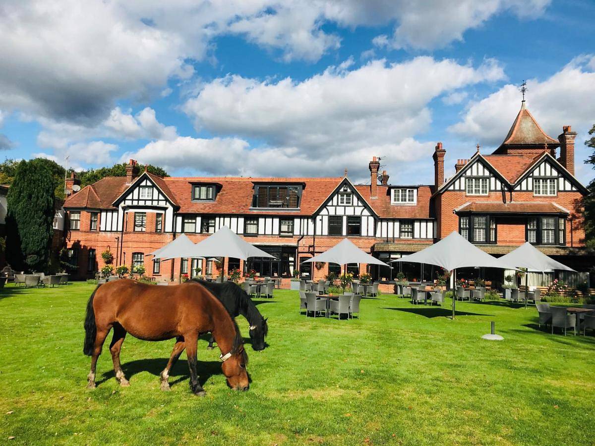 Superior King Room in Brockenhurst, Hampshire