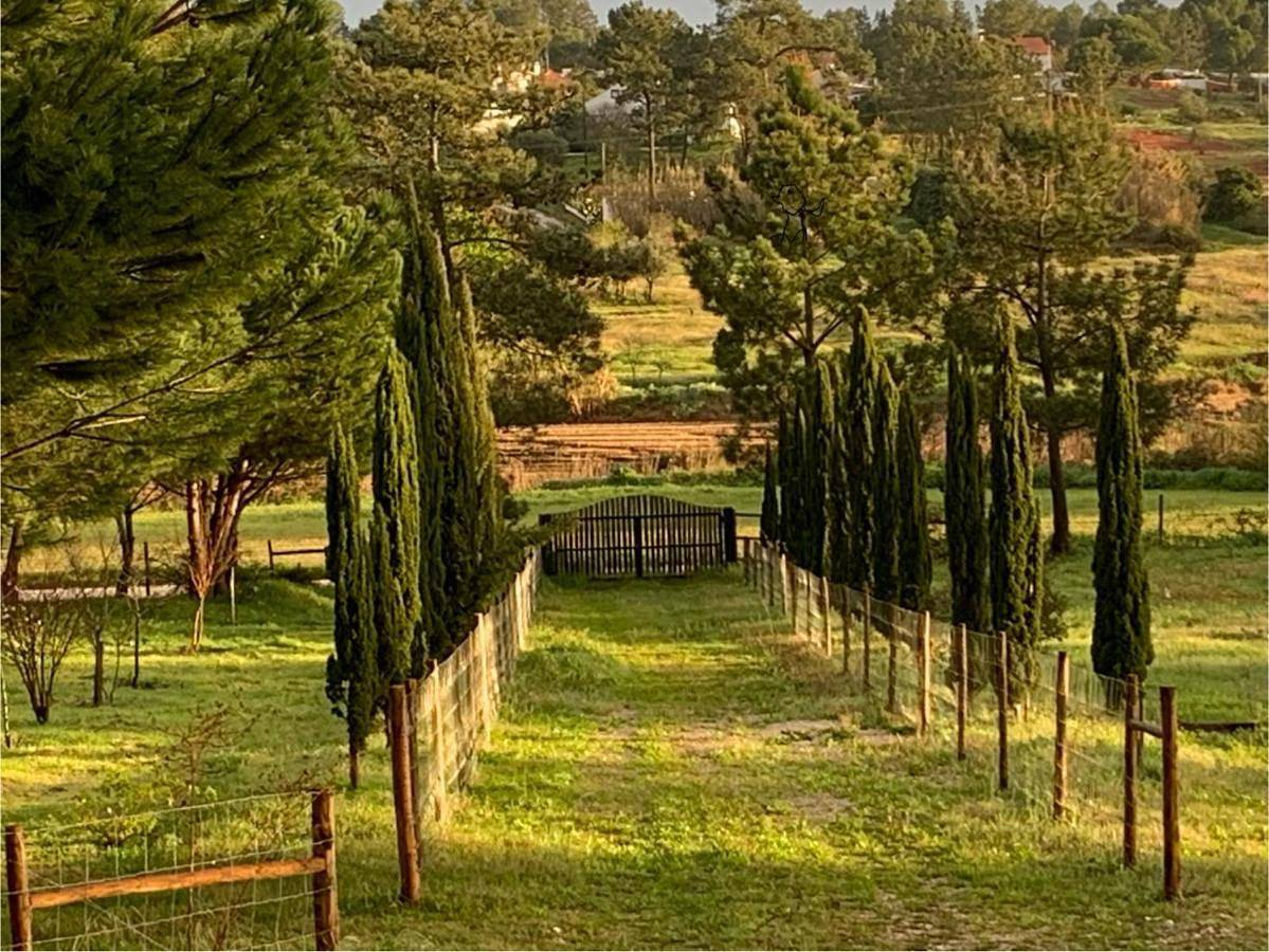 Villa in Coruche, Fajarda e Erra, Distrito de Santarém