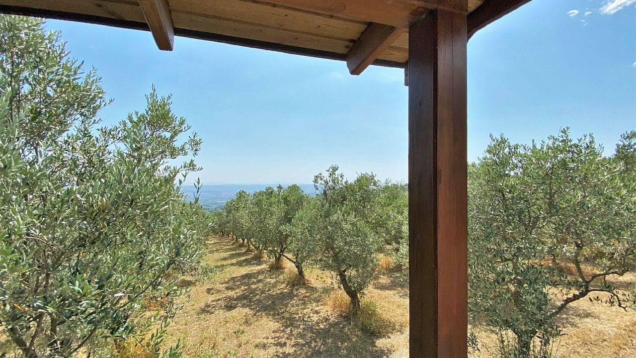 Bungalow für 4 Personen (45 m²) in Capraia E Limite in Capraia e Limite, Florence Province