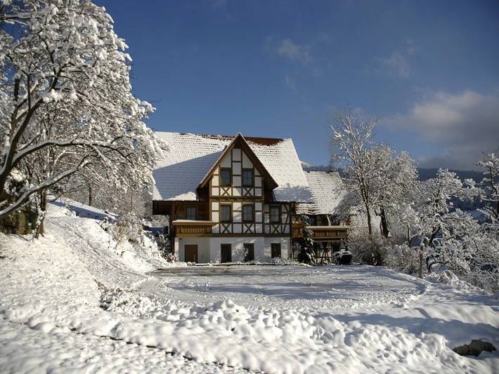 Pension für 2 Personen, mit Balkon/Terrasse in Nationalpark Schwarzwald - 2