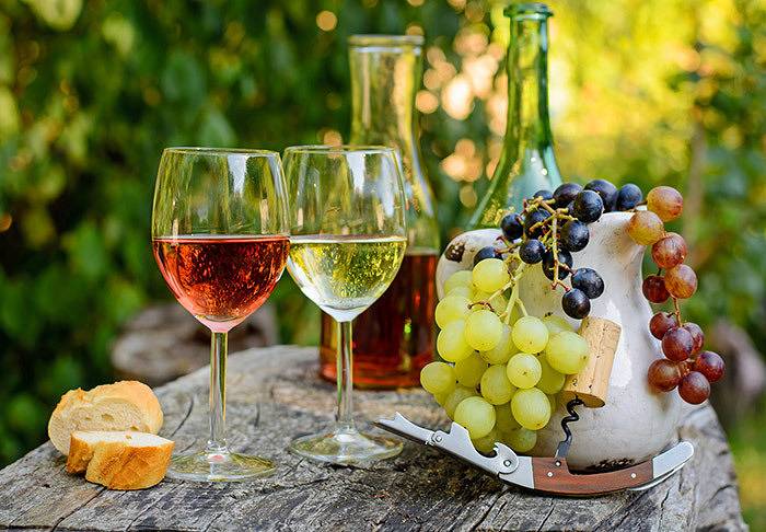 Hotel für 4 Personen, mit Garten und Terrasse sowie Sauna, kinderfreundlich in Fränkisches Weinland - 2