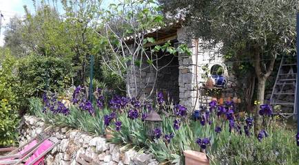 Chambre d’hôte pour 2 personnes, avec jardin à Solliès-Toucas