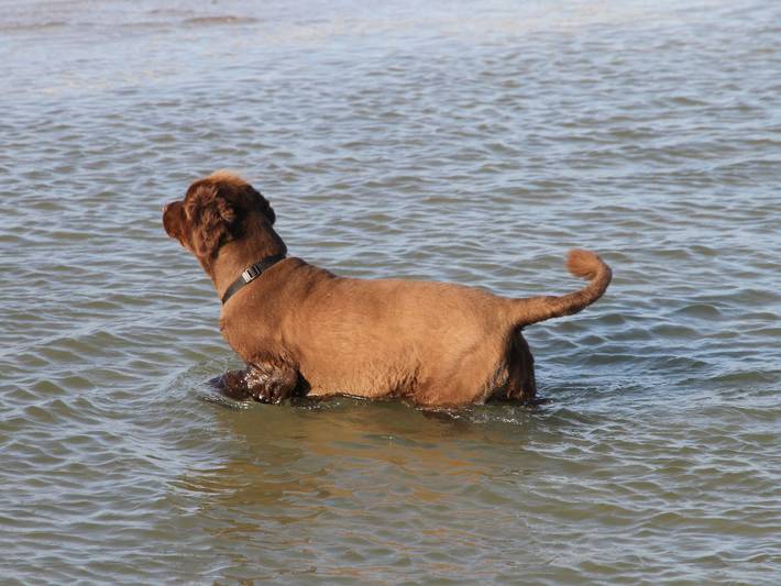 Ferienwohnung für 2 Personen, mit Terrasse und Garten, kinderfreundlich in Geltinger Bucht - 3