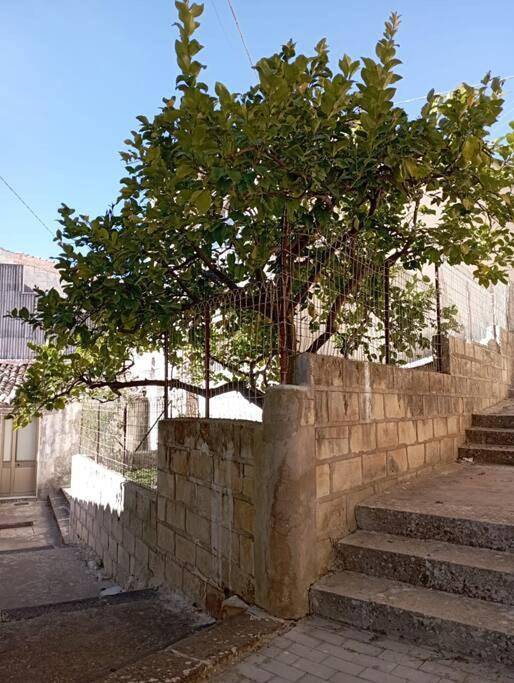 Vakantieappartement voor 2 personen - 1