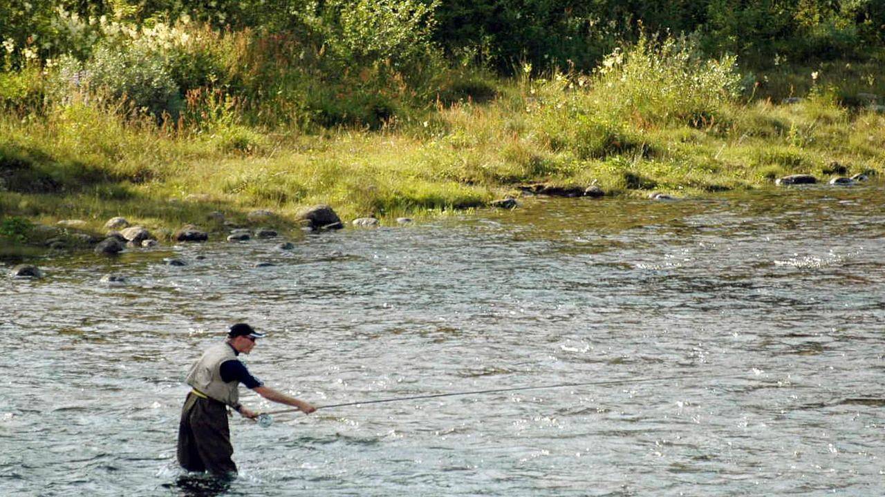 Ferienhaus für 4 Personen (45 m²) in Storhammaren in Eresfjord, Nesset