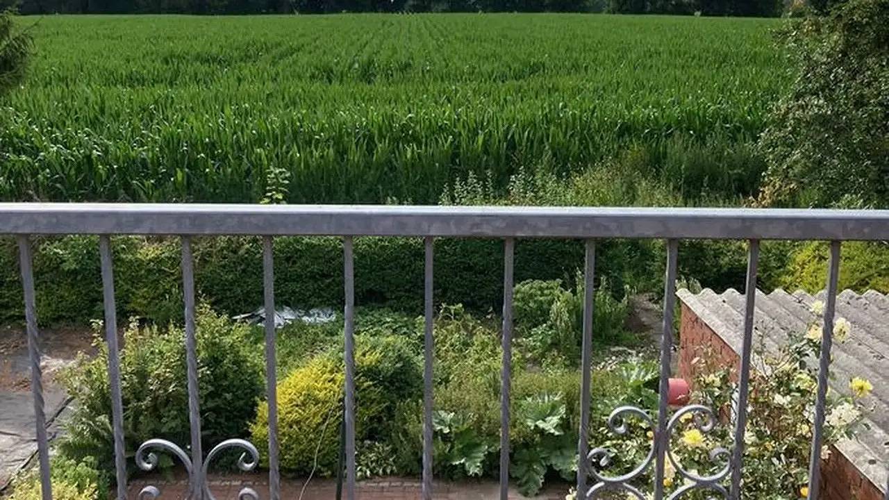 Ganze Ferienwohnung, Ferienwohnung für 3 Personen (45 m²) in Weener in Weener, Emsland