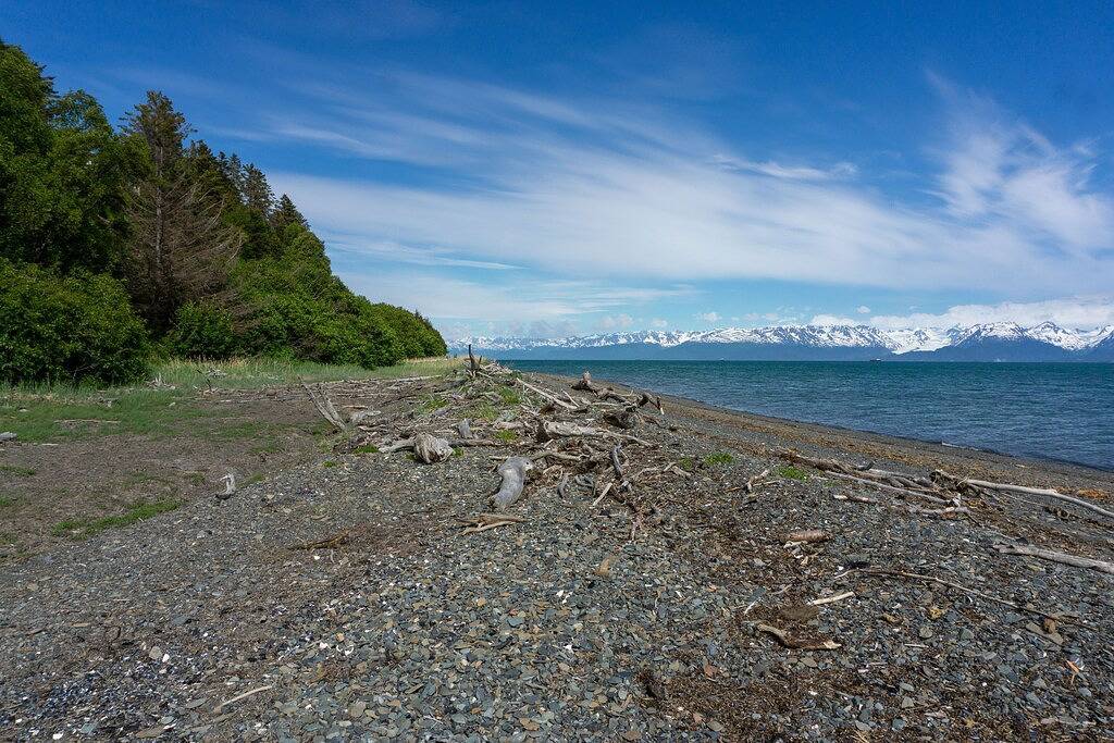 Beachfront property! 2 Bed/2 Bath and no added cleaning fees in Homer, Kenai Peninsula